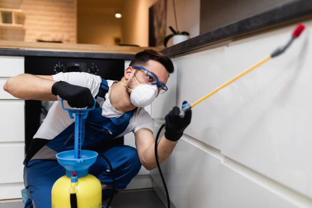 Best Bed Bug Extermination  in New Port Richey East, FL
