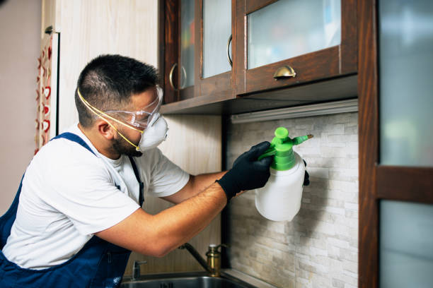 Best Exterminator Services  in New Port Richey East, FL