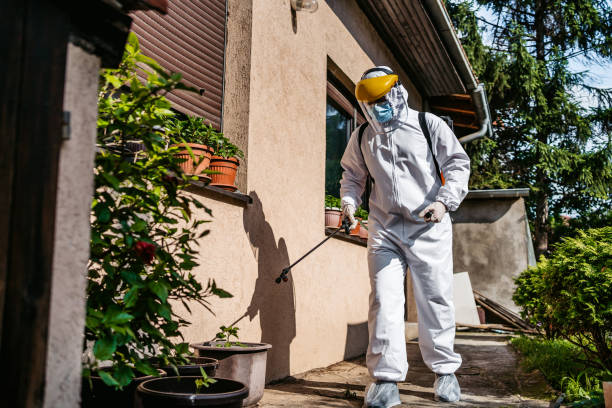 Best Cockroach Control Services  in New Port Richey East, FL
