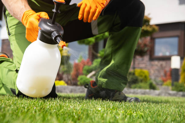 Best Bed Bug Extermination  in New Port Richey East, FL