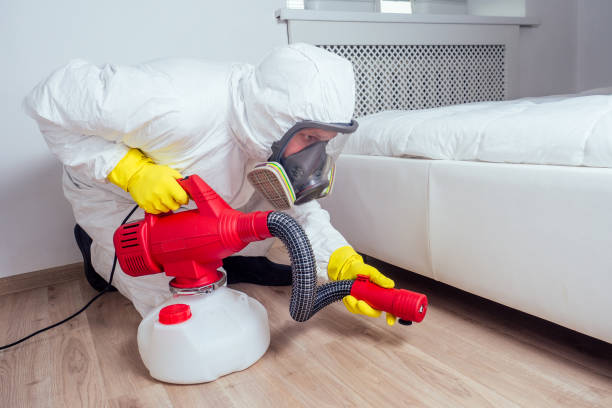 Best Best Pest Control Companies  in New Port Richey East, FL
